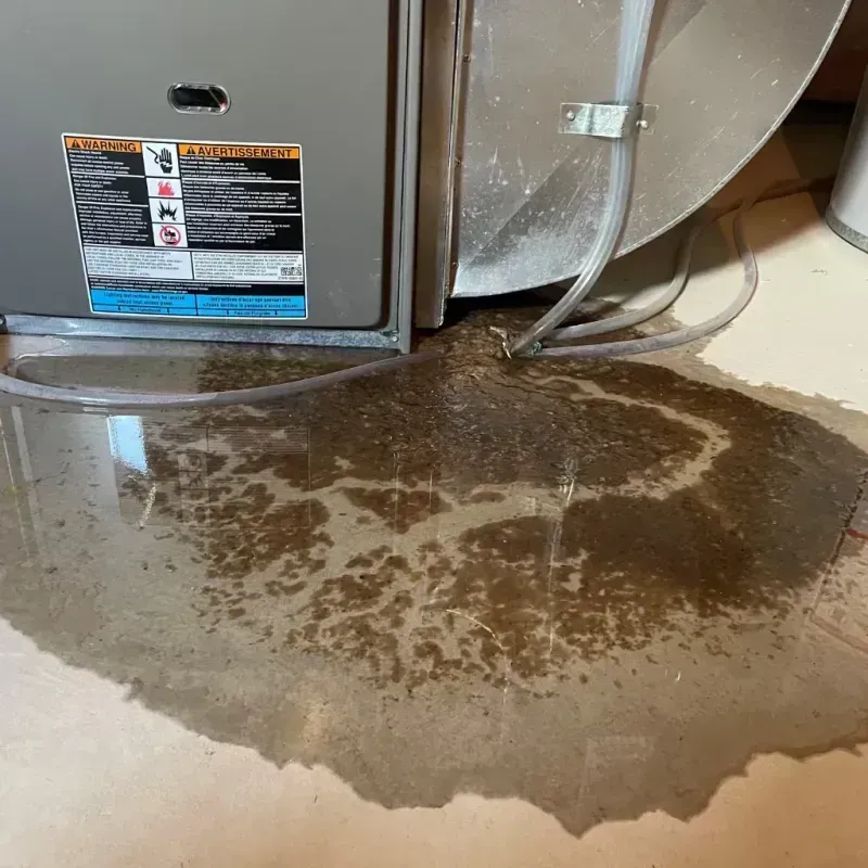 Appliance Leak Cleanup in Kitsap County, WA